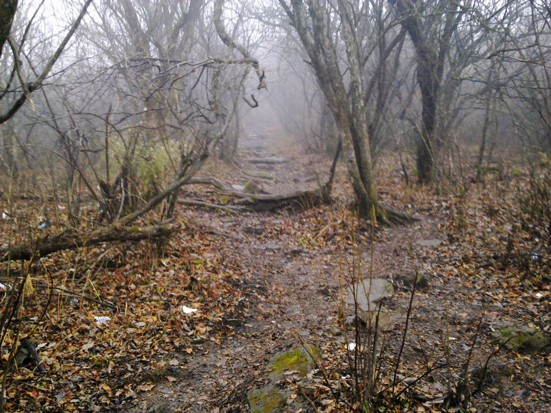 20121028462.jpg