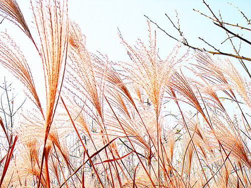 DSC09258_副本.jpg