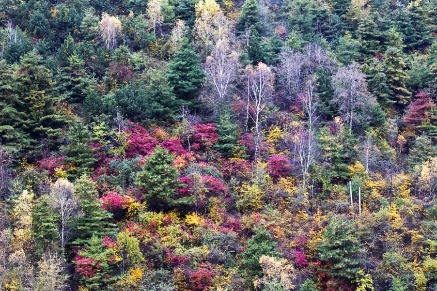 WI1A0547.jpg