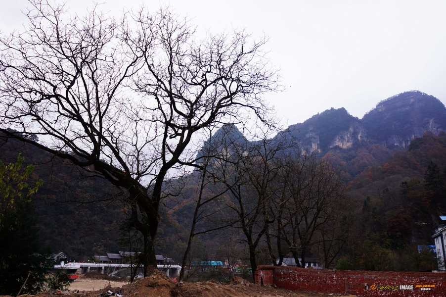 DSC08674a.jpg