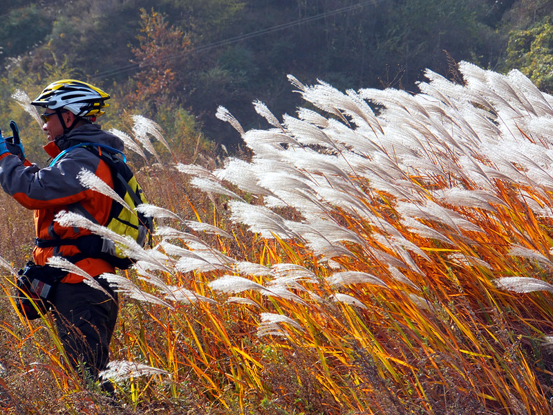 DSCF8922_副本 - 复制.jpg