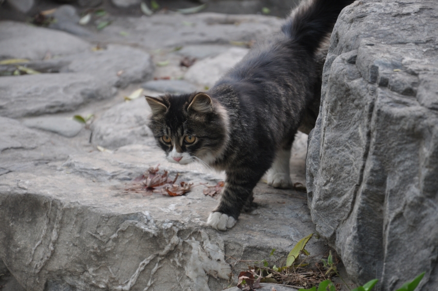 DSC_0616.JPG