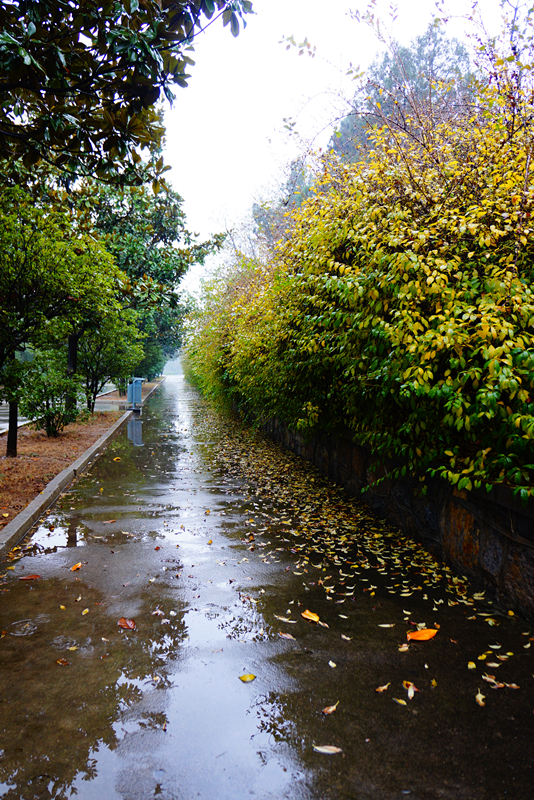 DSC03415_副本.jpg
