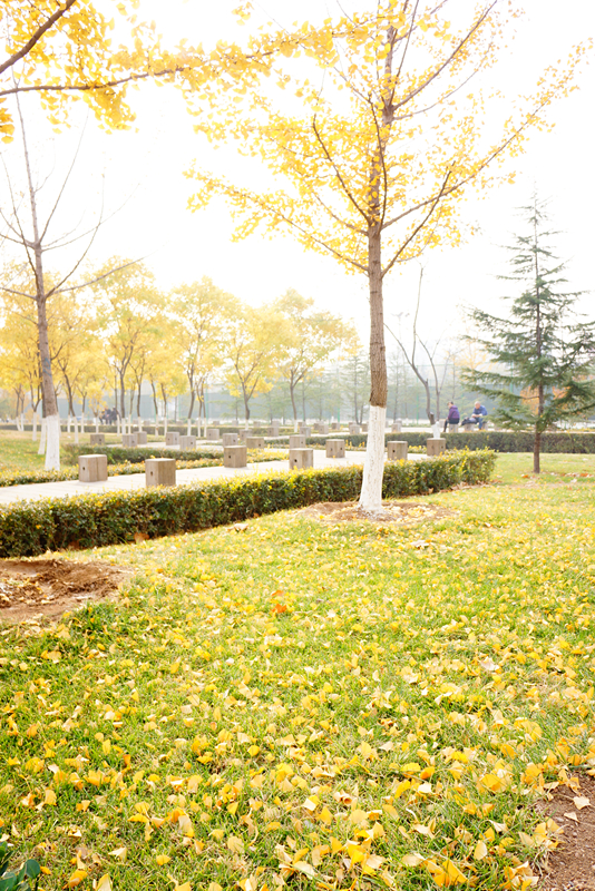 DSC02837_副本.jpg