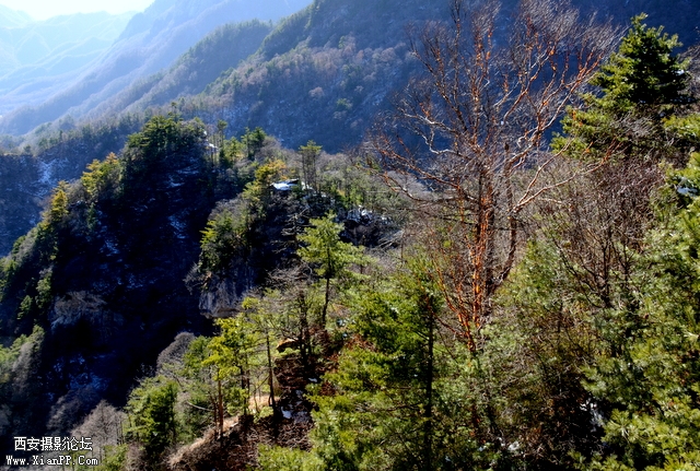 DSC_0926.jpg