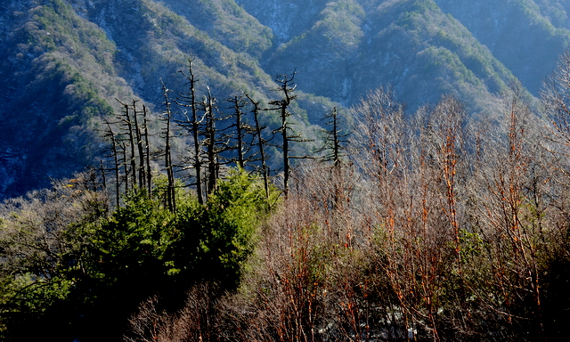 DSC_0916.jpg