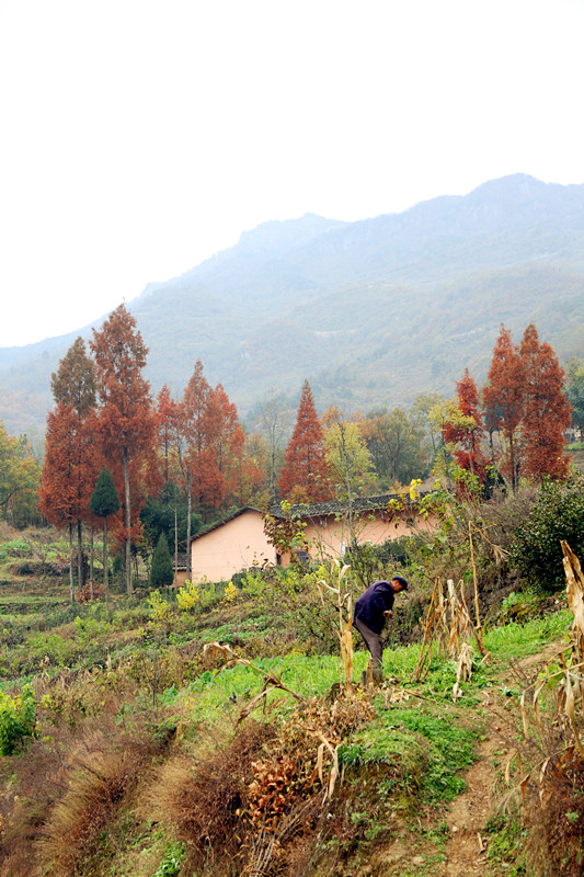 凤凰岭 127_副本.jpg