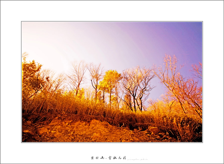金秋九月.jpg