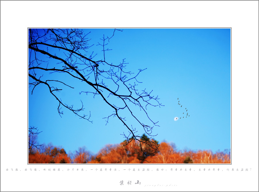 虬枝铺展有章法，冷月悬挂无姿色。.jpg