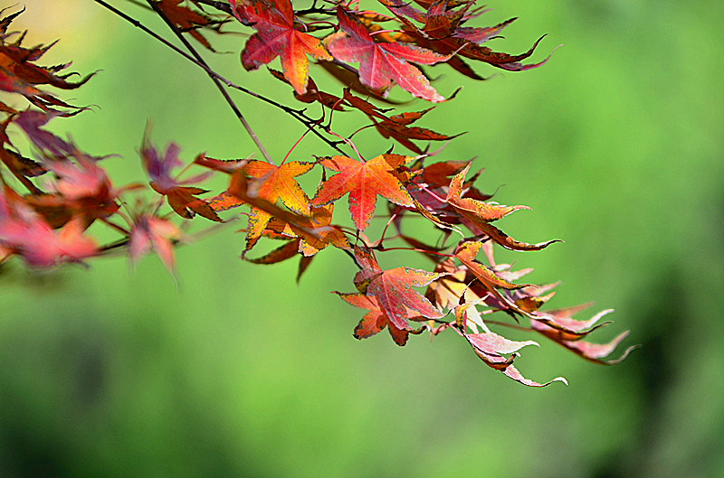 照片 034_副本.jpg