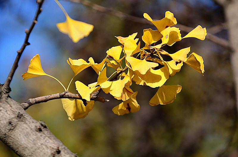 照片 035_副本.jpg