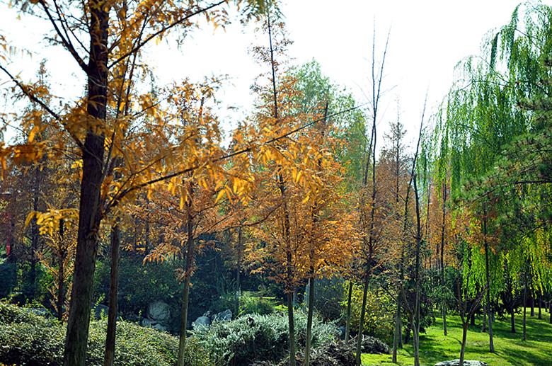 DSC_1881_副本.jpg
