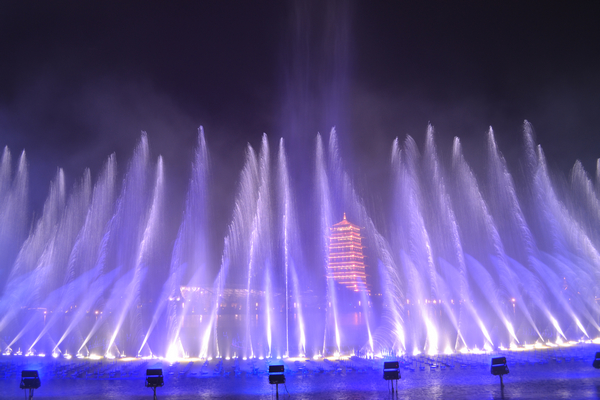 DSC_0489.JPG