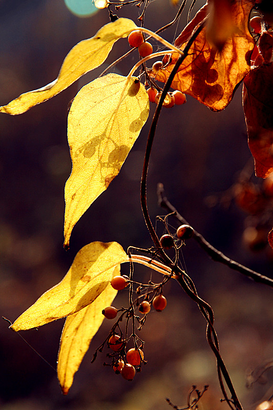 石砭浴 016_副本.jpg