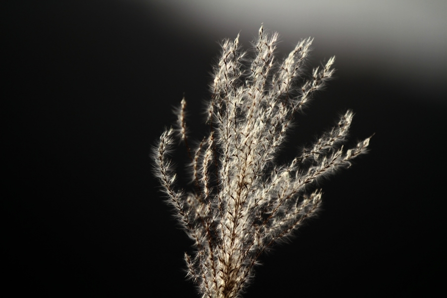 秦岭山水 119.jpg