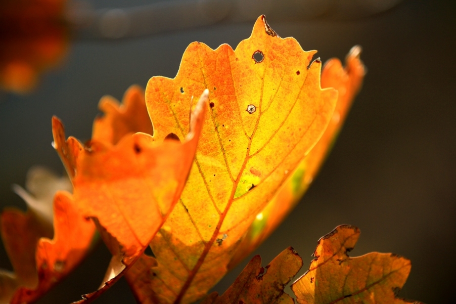 秦岭山水 048.jpg