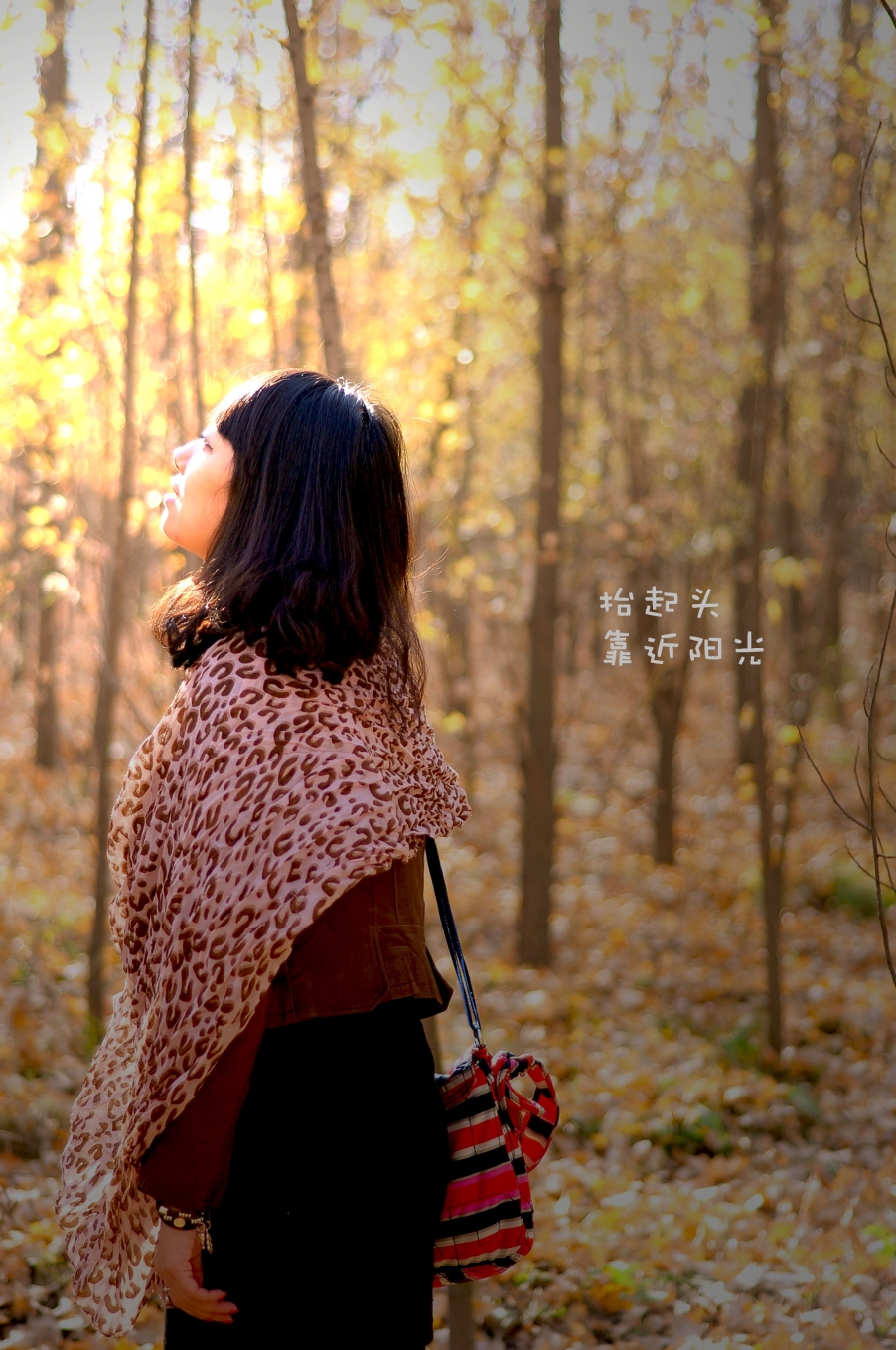 dsc_029111_副本.jpg