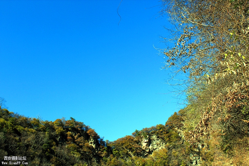 IMG_7745_副本.jpg