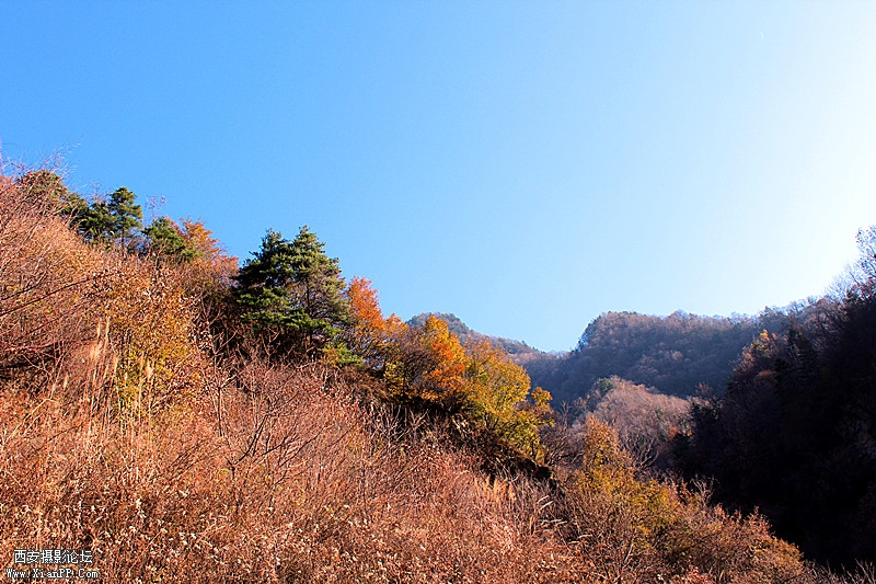 IMG_8106_副本.jpg