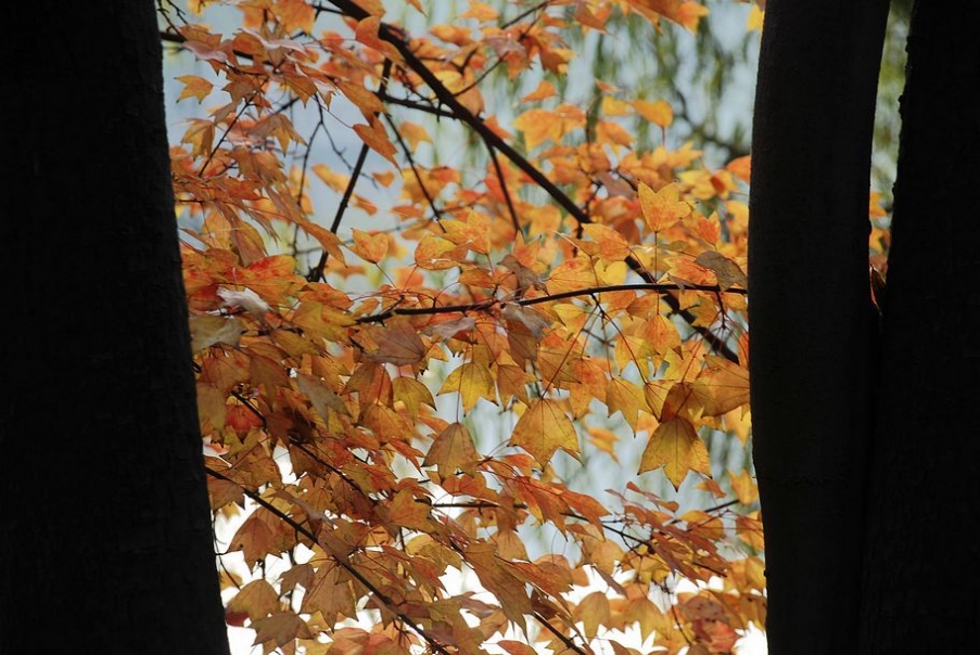 DSC_0148.JPG