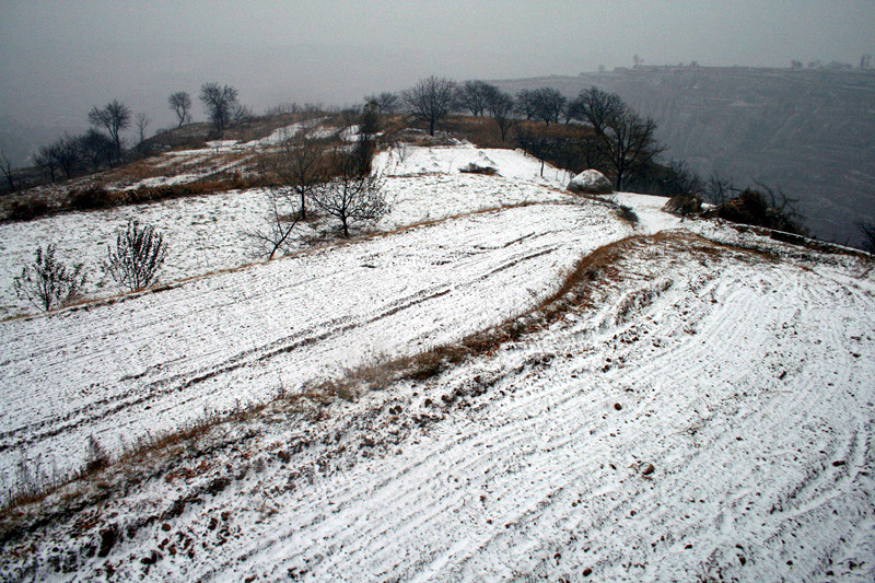 照片 098_副本.jpg