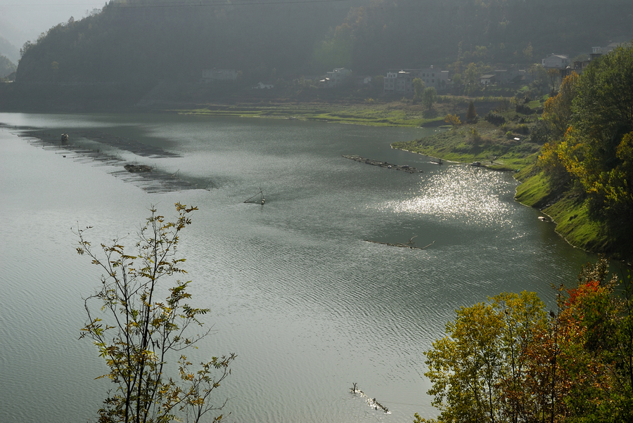 _DSC0016.jpg
