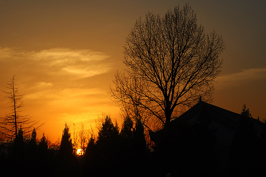 夕阳 (1).jpg