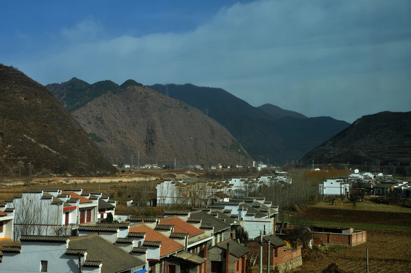 DSC_8417.jpg