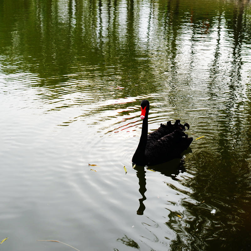 L1024342.jpg
