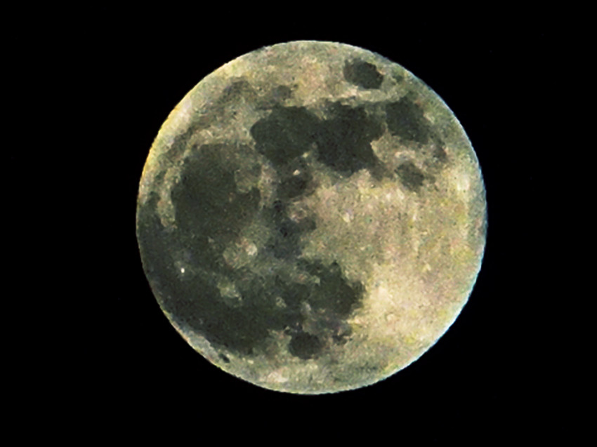 DSCF0902_副本.jpg