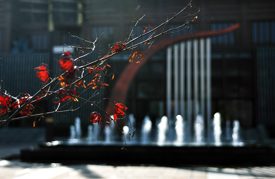 DSC_0096.JPG