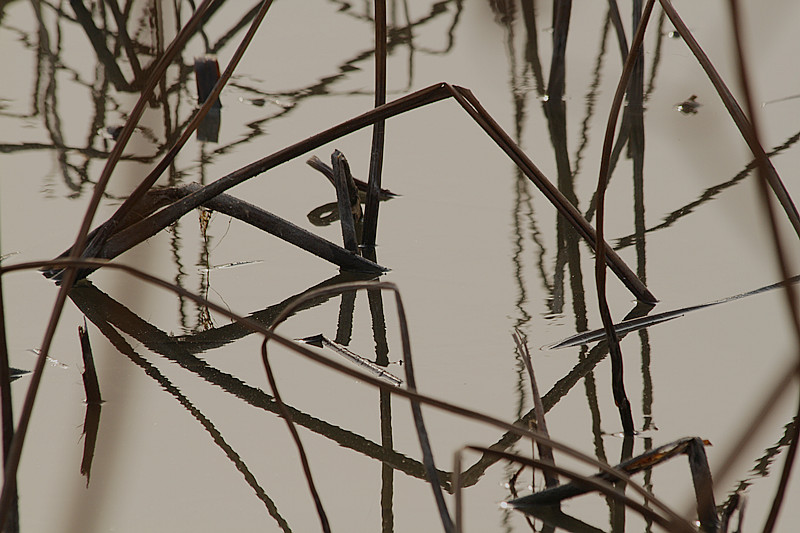 sony 027_副本.jpg