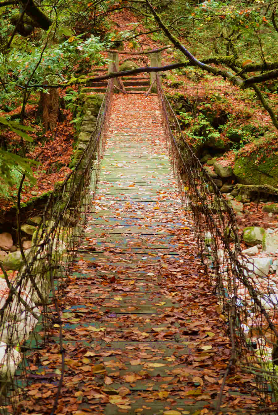 DSC_0569.JPG