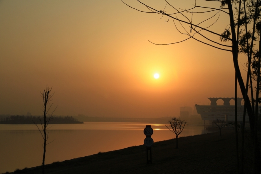 浐灞秋景 212.jpg