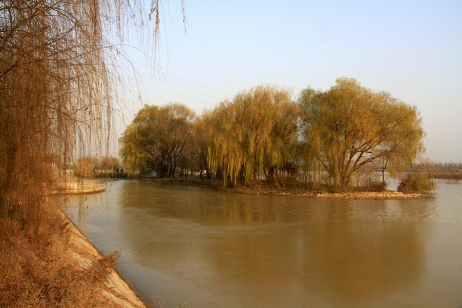 浐灞秋景 354.jpg