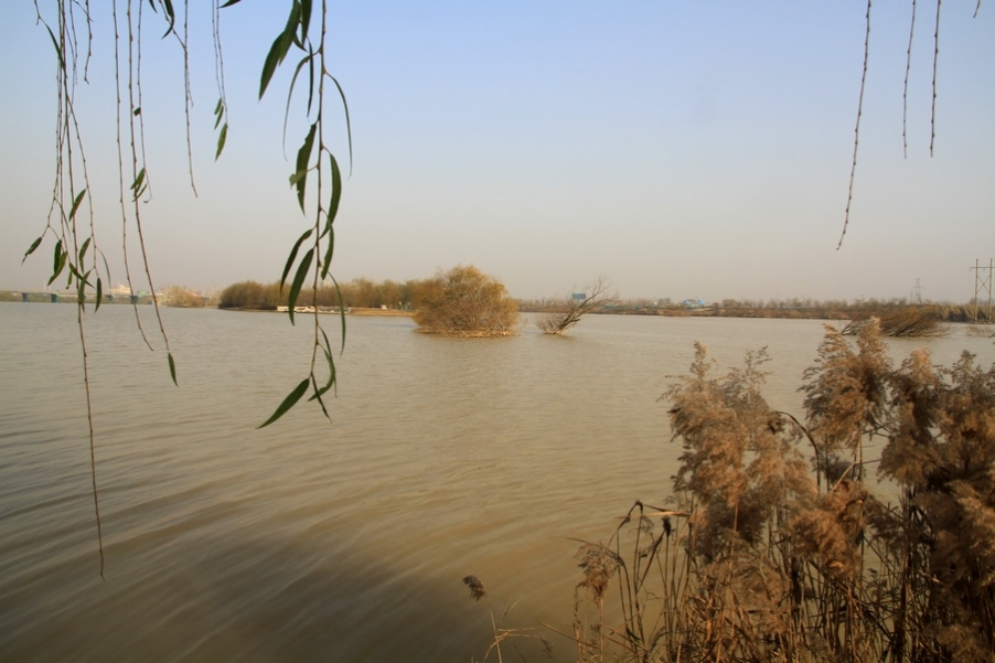 浐灞秋景 410.jpg