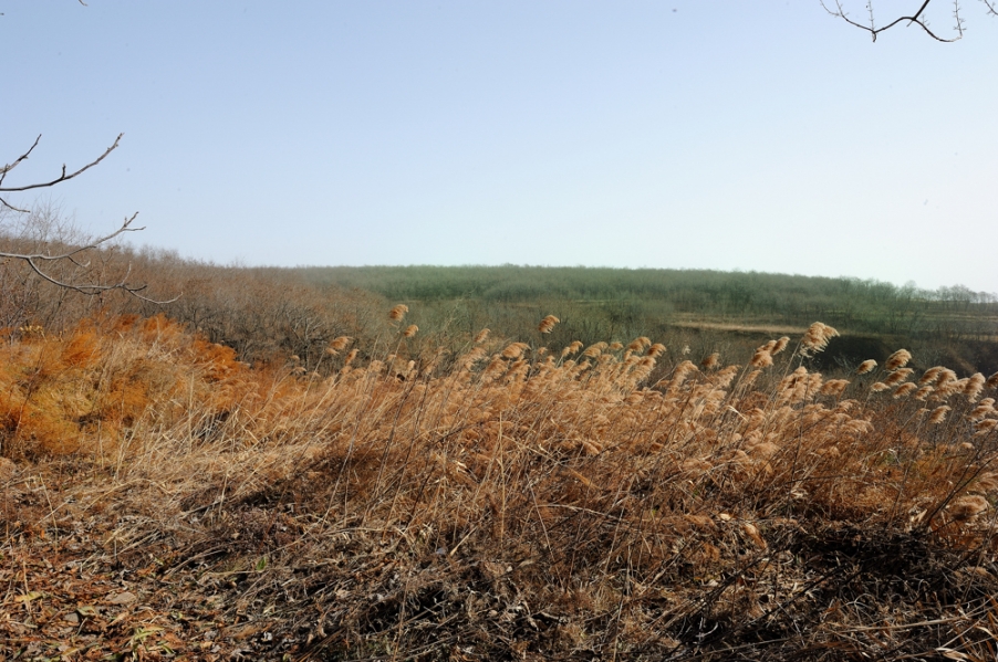 DSC_6705.jpg