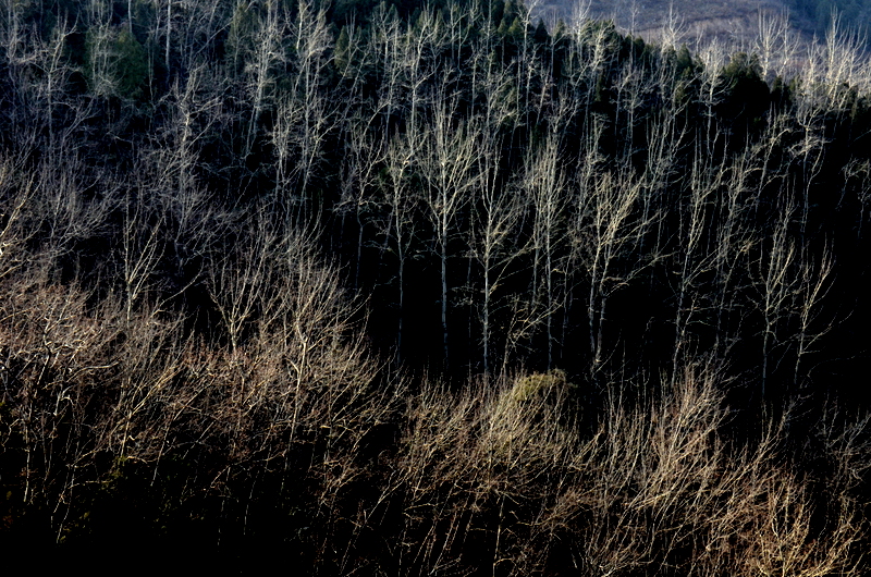 DSC_1652.jpg