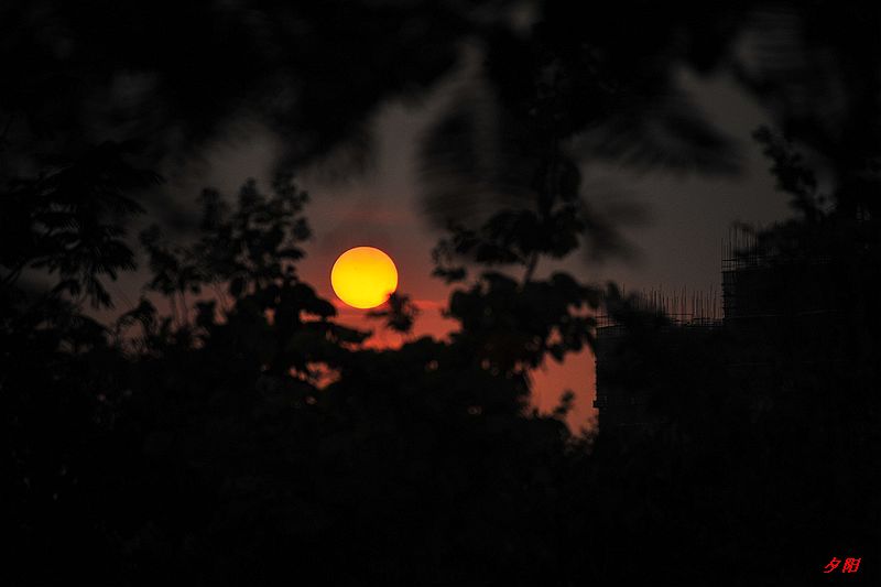 0SC_2814.jpg