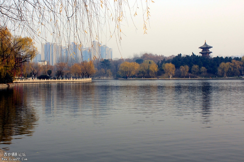 IMG_8912_副本.jpg