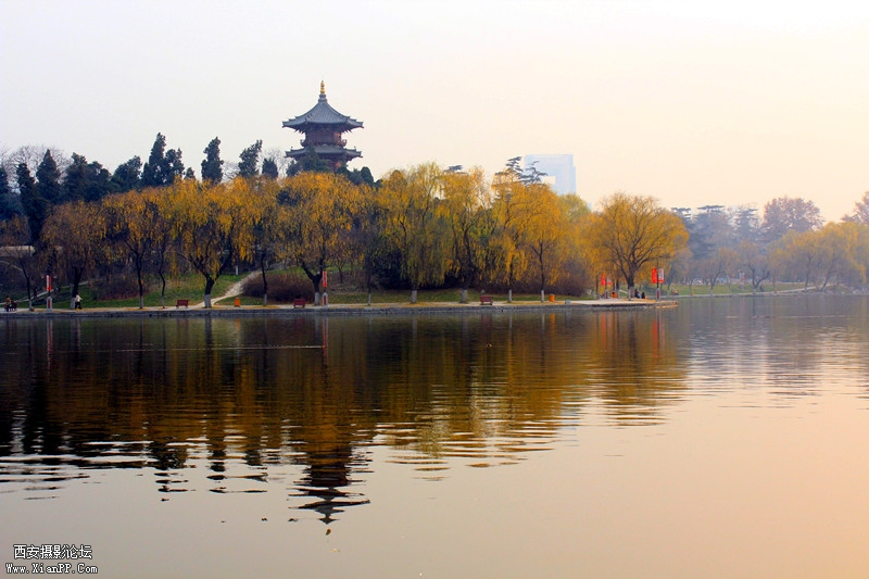 IMG_8955_副本.jpg