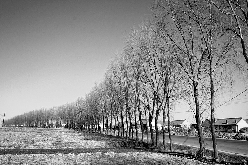 照片 013_副本.jpg