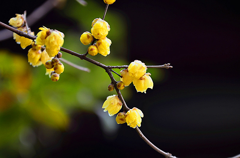 照片 016_副本.jpg