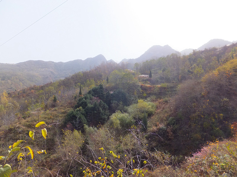 DSCF8967_副本.jpg