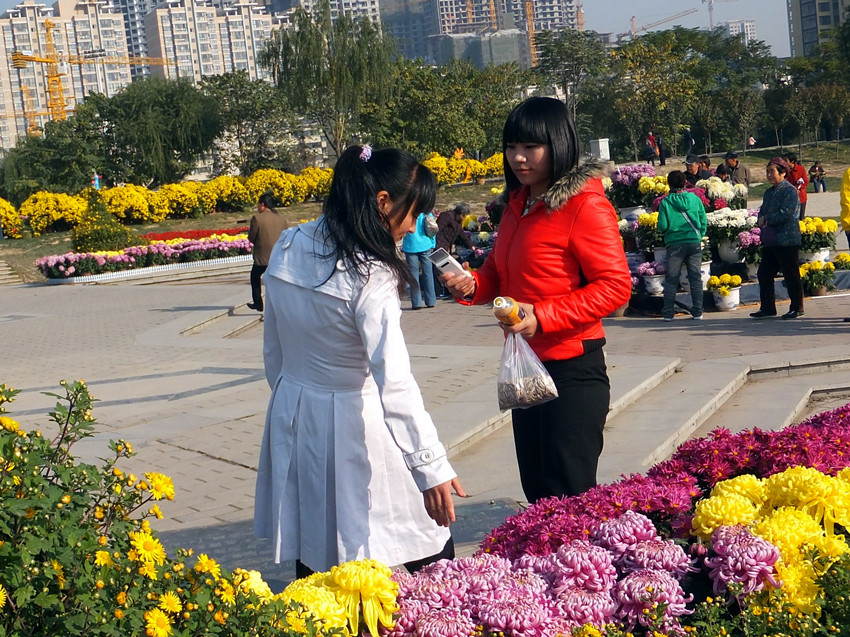 dscf8205_副本.jpg