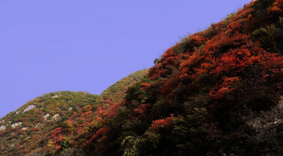 DSC_0226.jpg