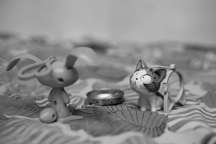 傻瓜 那是我们的家  杜比星  我们的家人都在那里