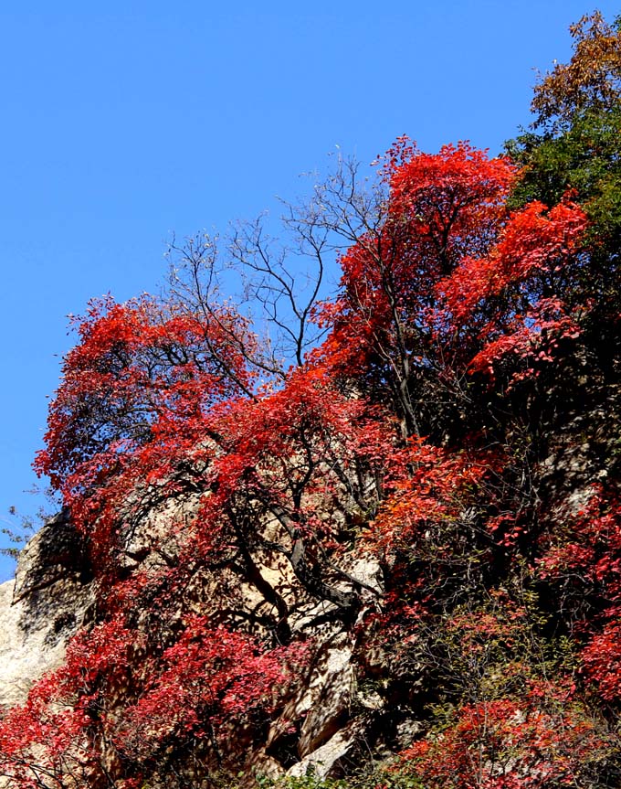 IMG_3653 副本.jpg