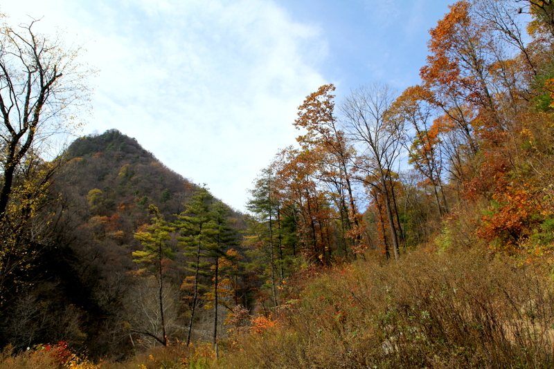IMG_1906.JPG