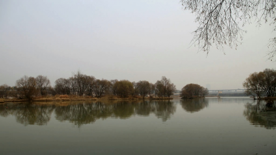复件 IMG_4941.jpg